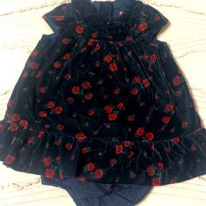 Janie and Jack girls 6 mo velvet dress with bloomers